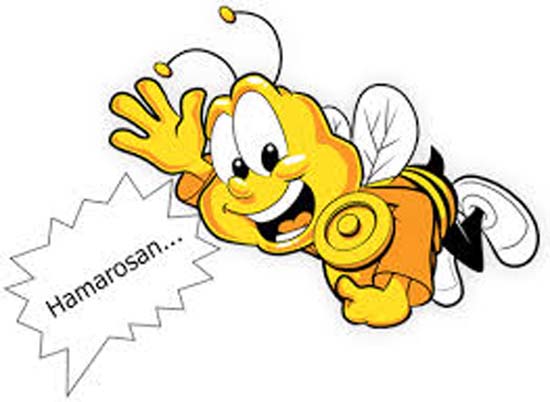 méhecske ok
