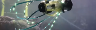 Tintahalszerű robot segítheti a mélytengeri kutatásokat