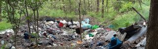 A hulladékmentes erdő közérdek