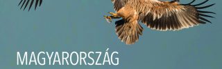Magyarország ragadozó madarai boritok I kotet