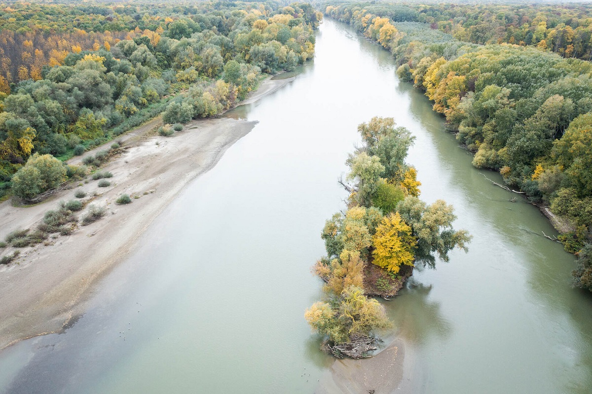 GDan_Dinu_-_Mures_Floodplain